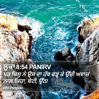 ਲੂਕਾ 8:54 PANIRV Bible Verse Image