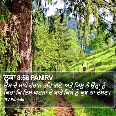 ਲੂਕਾ 8:56 PANIRV Bible Verse Image