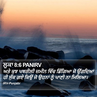 ਲੂਕਾ 8:6 PANIRV Bible Verse Image