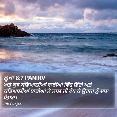 ਲੂਕਾ 8:7 PANIRV Bible Verse Image