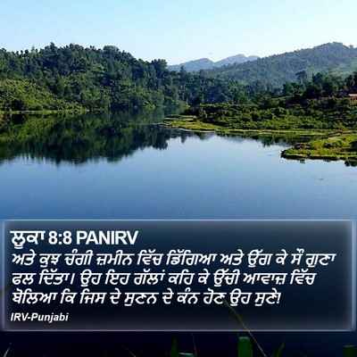 ਲੂਕਾ 8:8 PANIRV Bible Verse Image