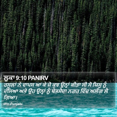 ਲੂਕਾ 9:10 PANIRV Bible Verse Image