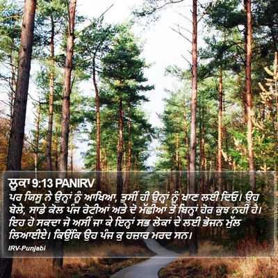 ਲੂਕਾ 9:13 PANIRV Bible Verse Image