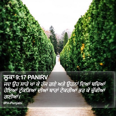 ਲੂਕਾ 9:17 PANIRV Bible Verse Image