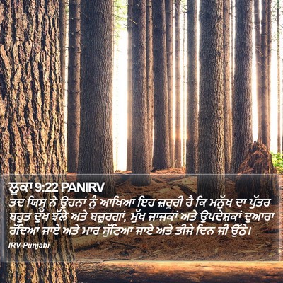 ਲੂਕਾ 9:22 PANIRV Bible Verse Image