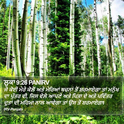ਲੂਕਾ 9:26 PANIRV Bible Verse Image