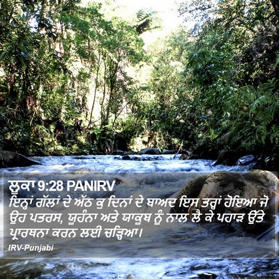 ਲੂਕਾ 9:28 PANIRV Bible Verse Image