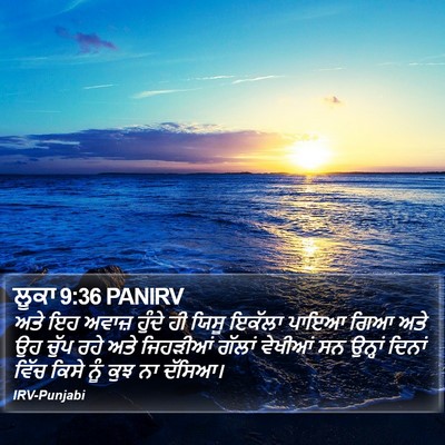 ਲੂਕਾ 9:36 PANIRV Bible Verse Image