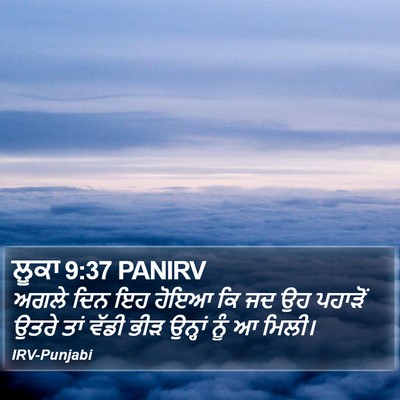ਲੂਕਾ 9:37 PANIRV Bible Verse Image