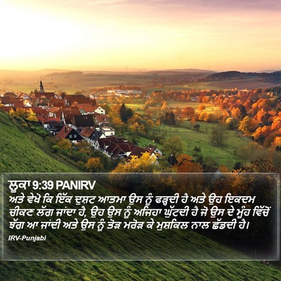 ਲੂਕਾ 9:39 PANIRV Bible Verse Image