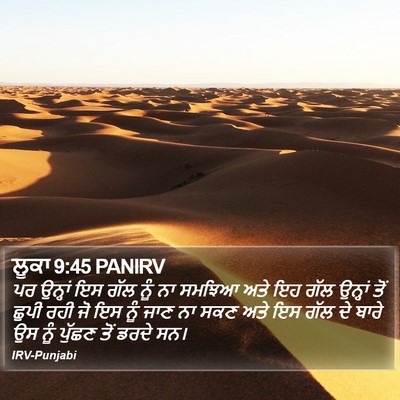 ਲੂਕਾ 9:45 PANIRV Bible Verse Image
