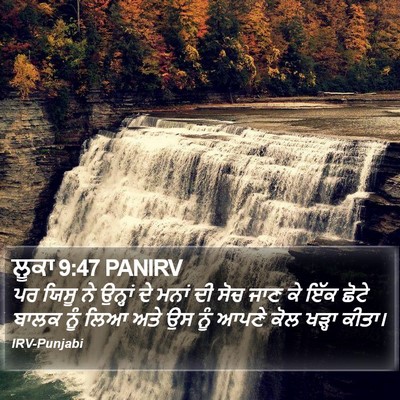 ਲੂਕਾ 9:47 PANIRV Bible Verse Image