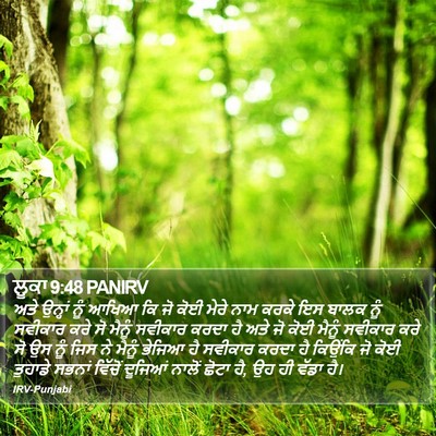ਲੂਕਾ 9:48 PANIRV Bible Verse Image