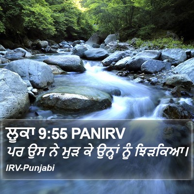 ਲੂਕਾ 9:55 PANIRV Bible Verse Image