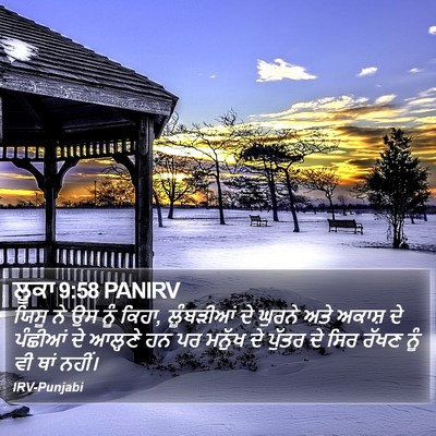 ਲੂਕਾ 9:58 PANIRV Bible Verse Image