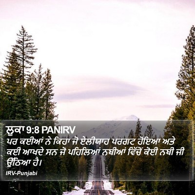 ਲੂਕਾ 9:8 PANIRV Bible Verse Image