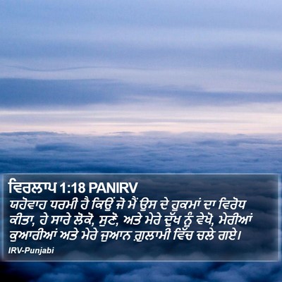 ਵਿਰਲਾਪ 1:18 PANIRV Bible Verse Image