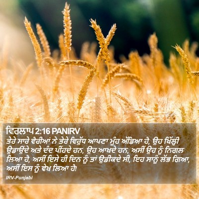 ਵਿਰਲਾਪ 2:16 PANIRV Bible Verse Image