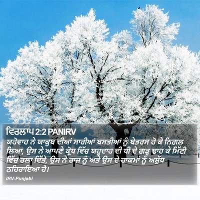 ਵਿਰਲਾਪ 2:2 PANIRV Bible Verse Image