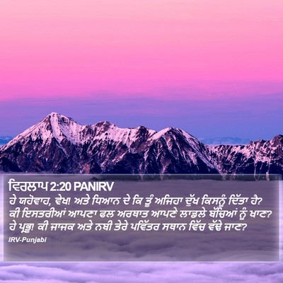 ਵਿਰਲਾਪ 2:20 PANIRV Bible Verse Image