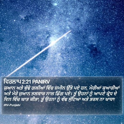 ਵਿਰਲਾਪ 2:21 PANIRV Bible Verse Image