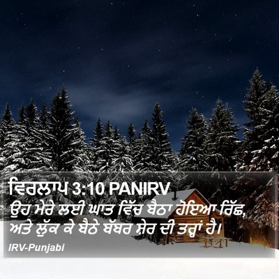 ਵਿਰਲਾਪ 3:10 PANIRV Bible Verse Image