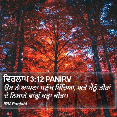 ਵਿਰਲਾਪ 3:12 PANIRV Bible Verse Image