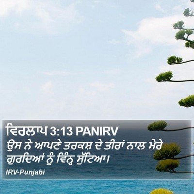 ਵਿਰਲਾਪ 3:13 PANIRV Bible Verse Image