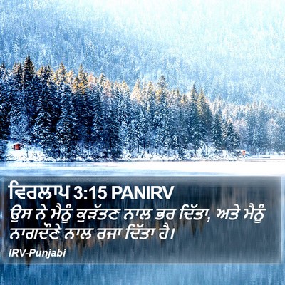 ਵਿਰਲਾਪ 3:15 PANIRV Bible Verse Image