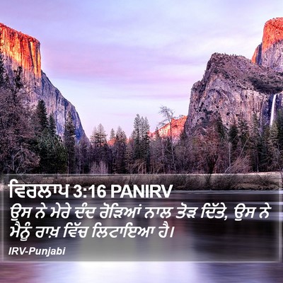 ਵਿਰਲਾਪ 3:16 PANIRV Bible Verse Image