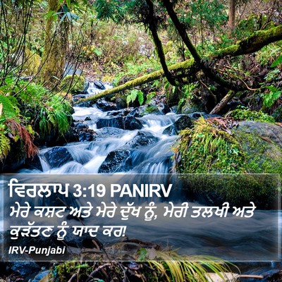 ਵਿਰਲਾਪ 3:19 PANIRV Bible Verse Image