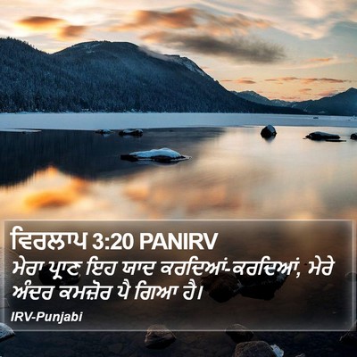 ਵਿਰਲਾਪ 3:20 PANIRV Bible Verse Image