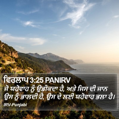 ਵਿਰਲਾਪ 3:25 PANIRV Bible Verse Image