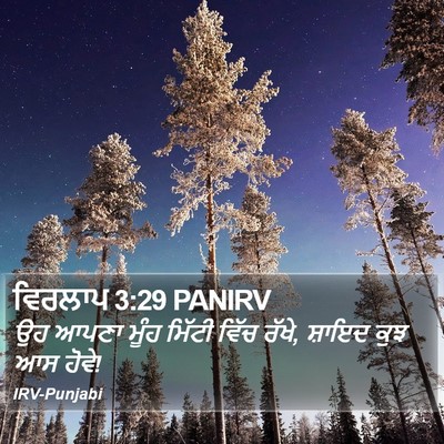 ਵਿਰਲਾਪ 3:29 PANIRV Bible Verse Image