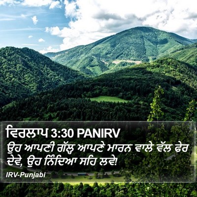 ਵਿਰਲਾਪ 3:30 PANIRV Bible Verse Image