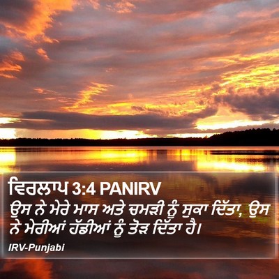 ਵਿਰਲਾਪ 3:4 PANIRV Bible Verse Image