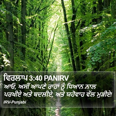 ਵਿਰਲਾਪ 3:40 PANIRV Bible Verse Image
