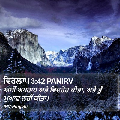 ਵਿਰਲਾਪ 3:42 PANIRV Bible Verse Image