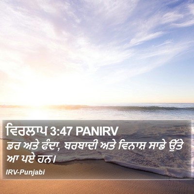 ਵਿਰਲਾਪ 3:47 PANIRV Bible Verse Image