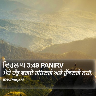 ਵਿਰਲਾਪ 3:49 PANIRV Bible Verse Image