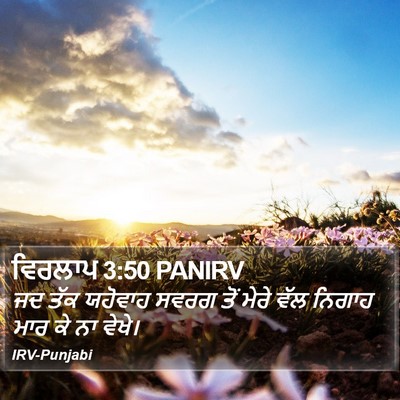 ਵਿਰਲਾਪ 3:50 PANIRV Bible Verse Image