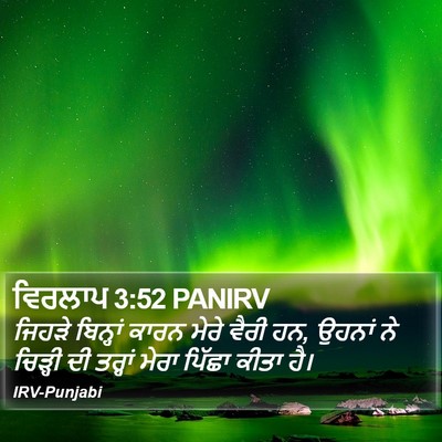 ਵਿਰਲਾਪ 3:52 PANIRV Bible Verse Image