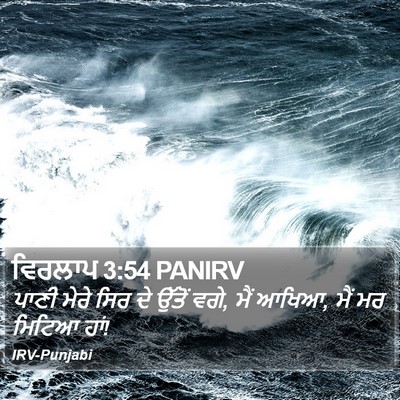 ਵਿਰਲਾਪ 3:54 PANIRV Bible Verse Image