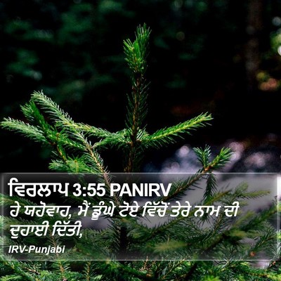 ਵਿਰਲਾਪ 3:55 PANIRV Bible Verse Image