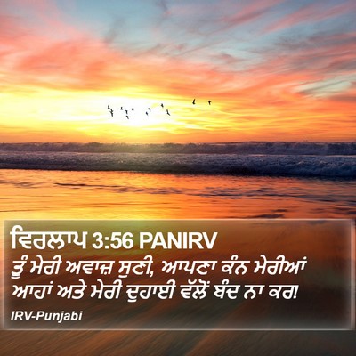 ਵਿਰਲਾਪ 3:56 PANIRV Bible Verse Image