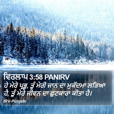ਵਿਰਲਾਪ 3:58 PANIRV Bible Verse Image