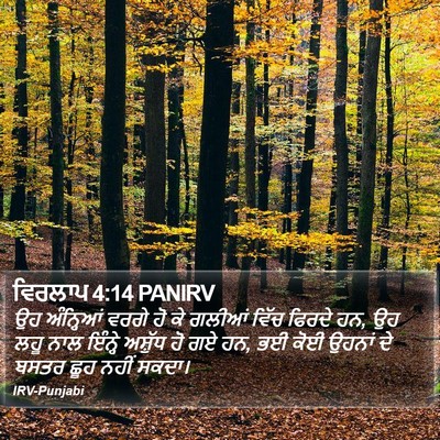 ਵਿਰਲਾਪ 4:14 PANIRV Bible Verse Image