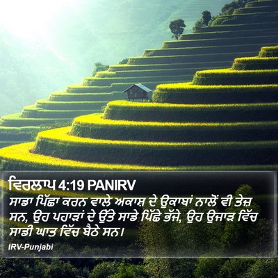 ਵਿਰਲਾਪ 4:19 PANIRV Bible Verse Image