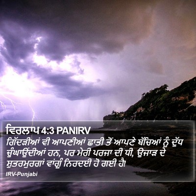 ਵਿਰਲਾਪ 4:3 PANIRV Bible Verse Image