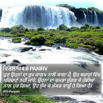 ਵਿਰਲਾਪ 4:8 PANIRV Bible Verse Image
